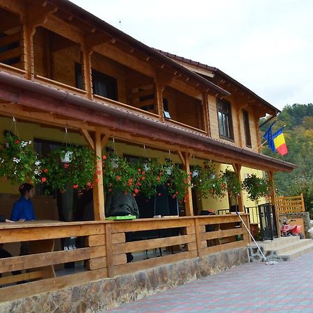 Pensiunea Mihaiu Sasului Vîrciorog Extérieur photo